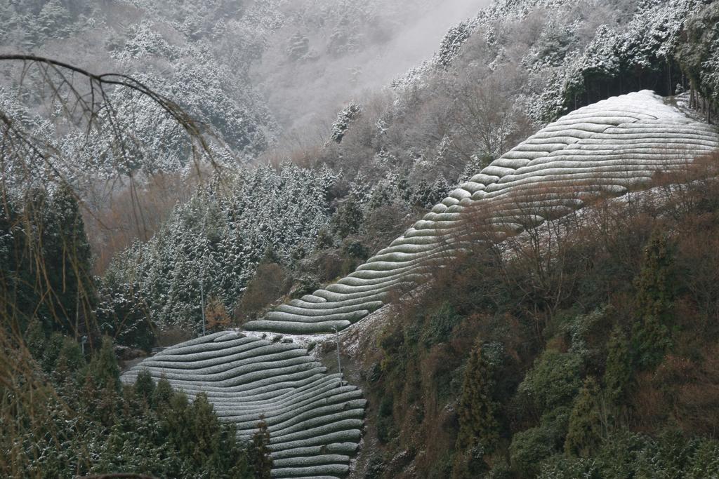 Kyoto Wazukaso Kizugawa Exterior foto