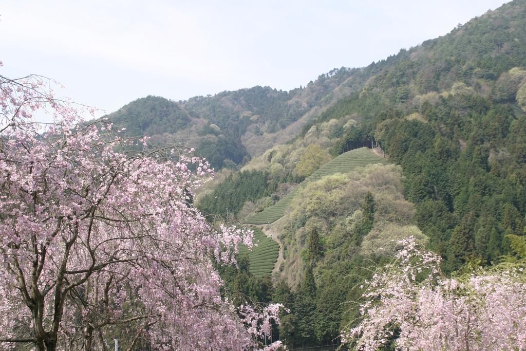 Kyoto Wazukaso Kizugawa Exterior foto
